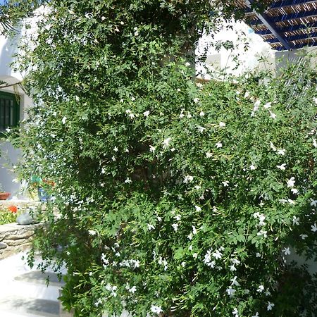 Porto Vlastos Agios Ioannis  Dış mekan fotoğraf