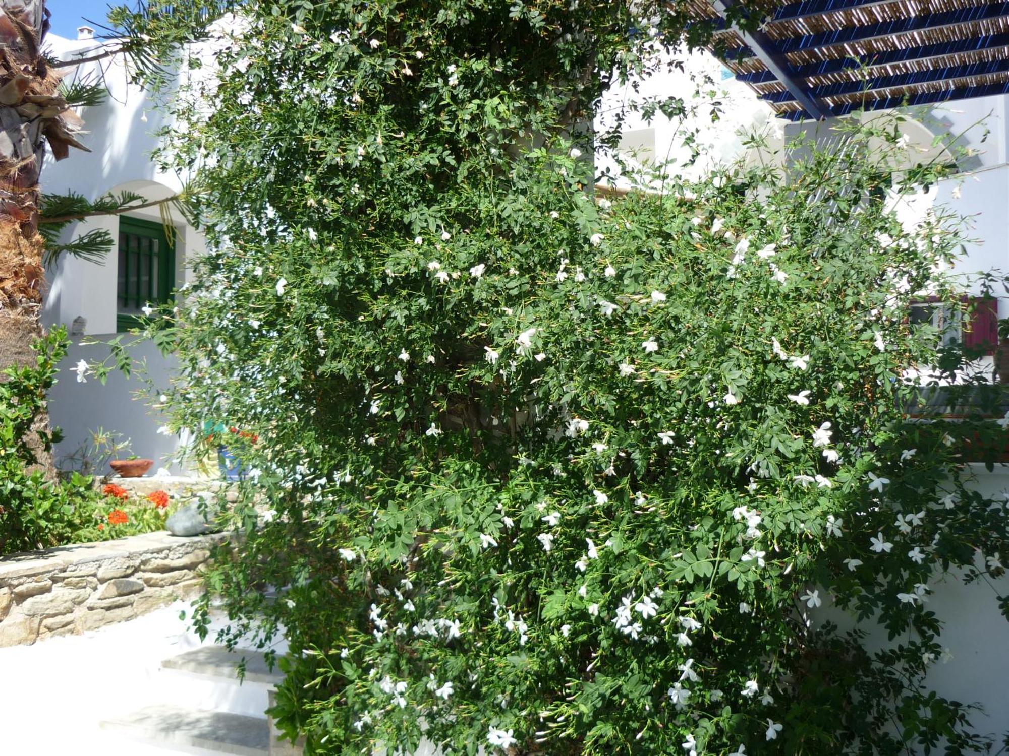 Porto Vlastos Agios Ioannis  Dış mekan fotoğraf